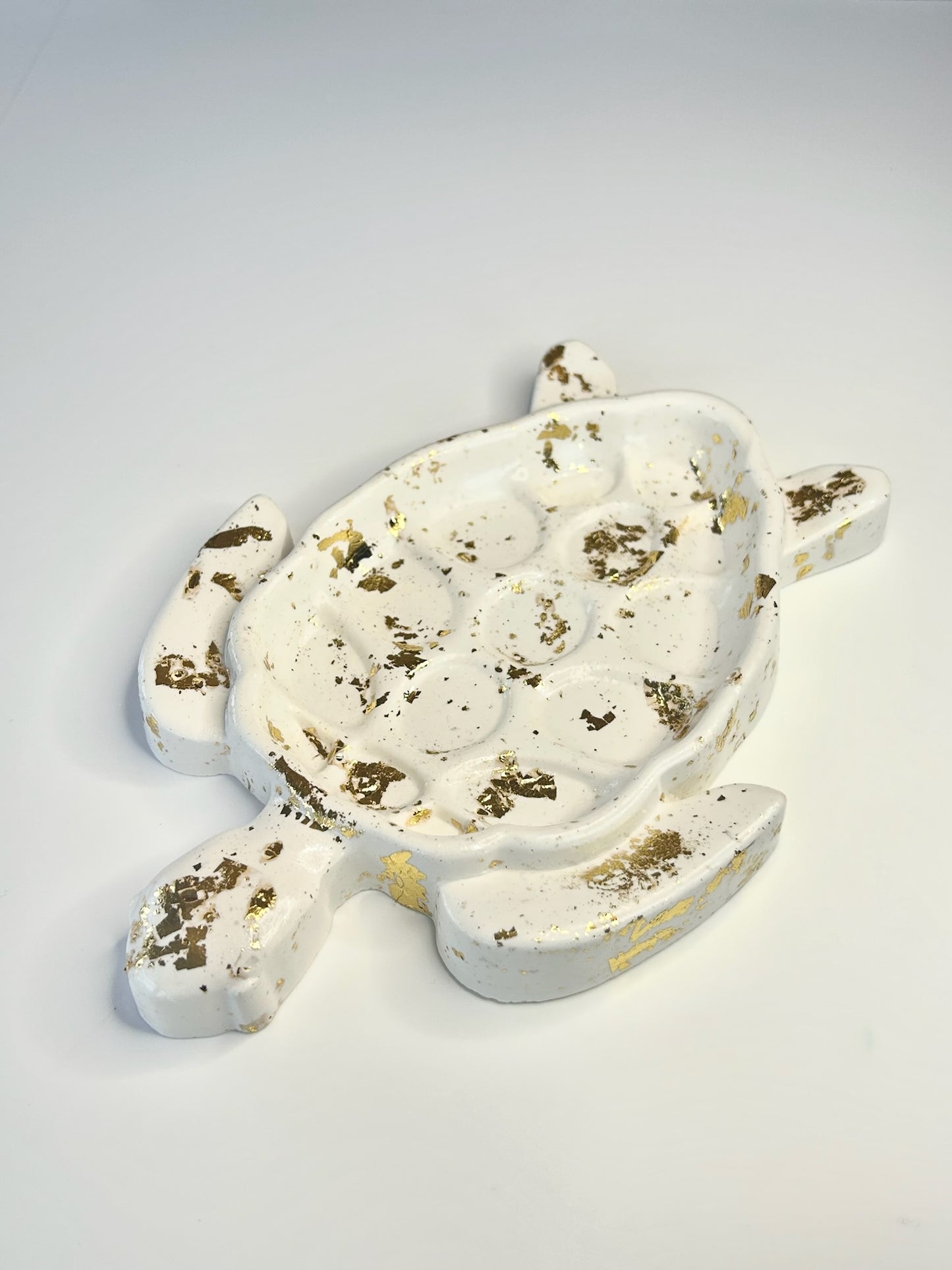Plateau tortue
