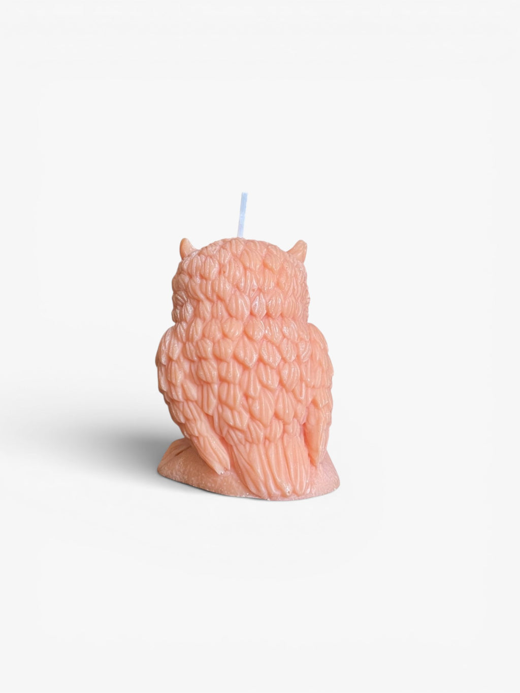 Bougie hibou cire de colza
