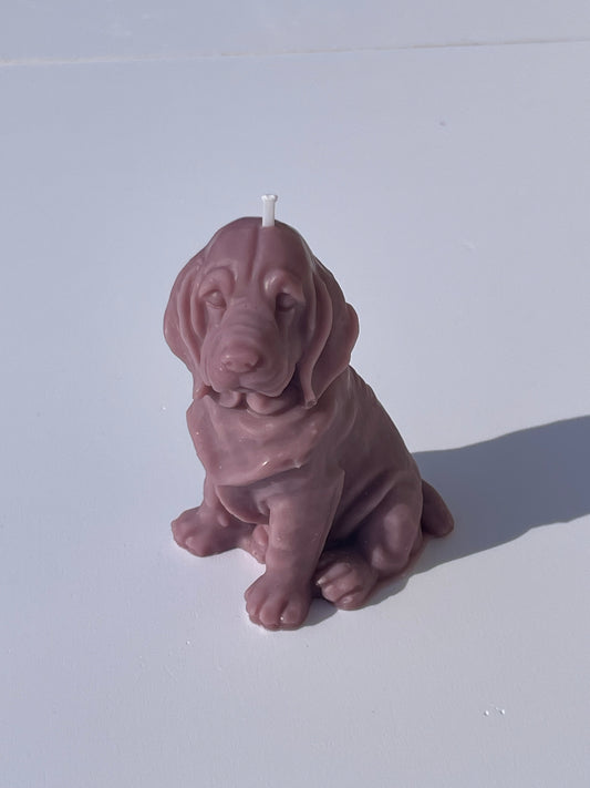 Bougie chien