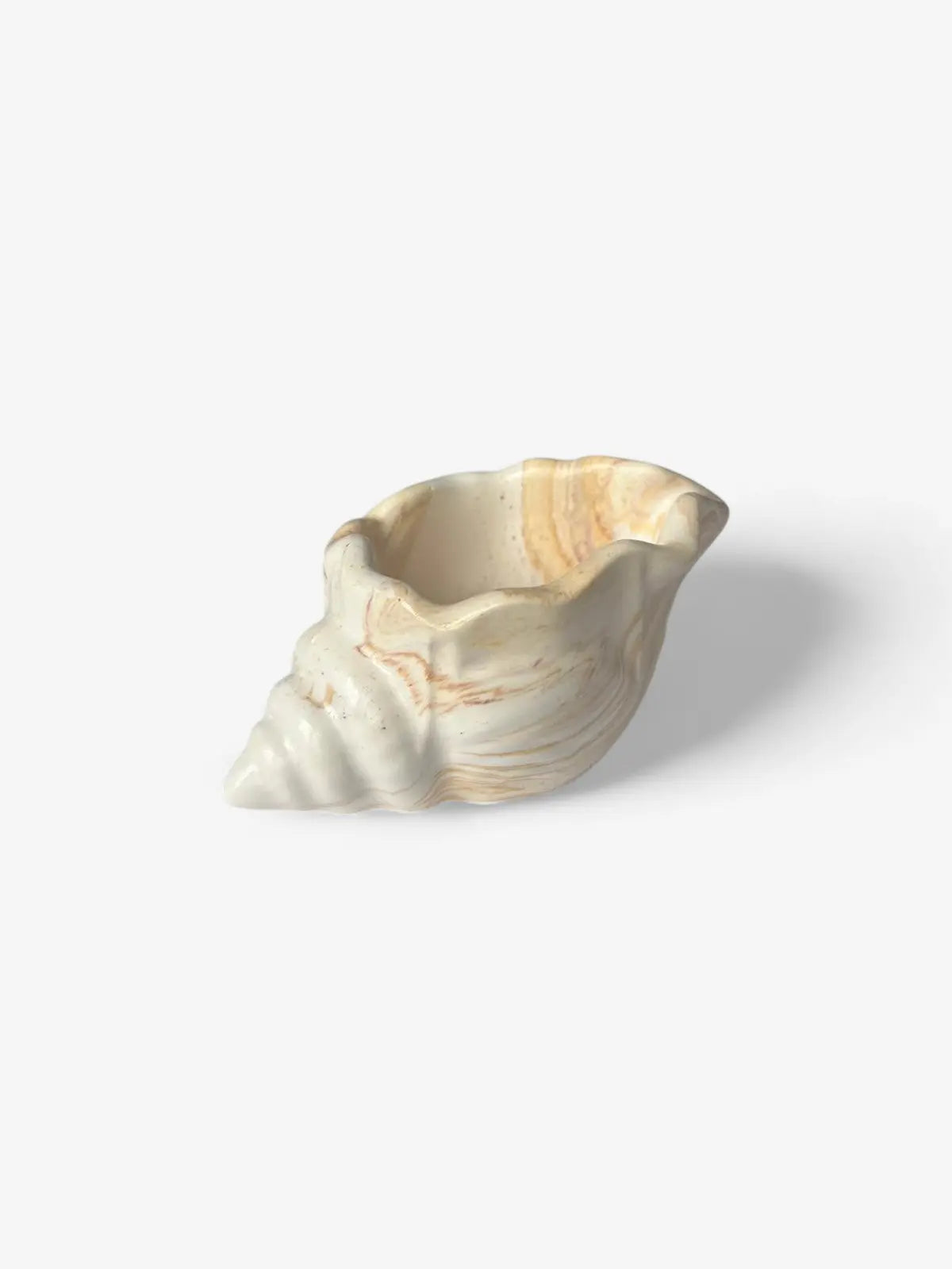 Décoration coquillage / vide poche Comme tu veux.