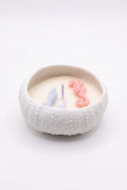 Bougie Pot en forme d'oursin - Comme tu veux.