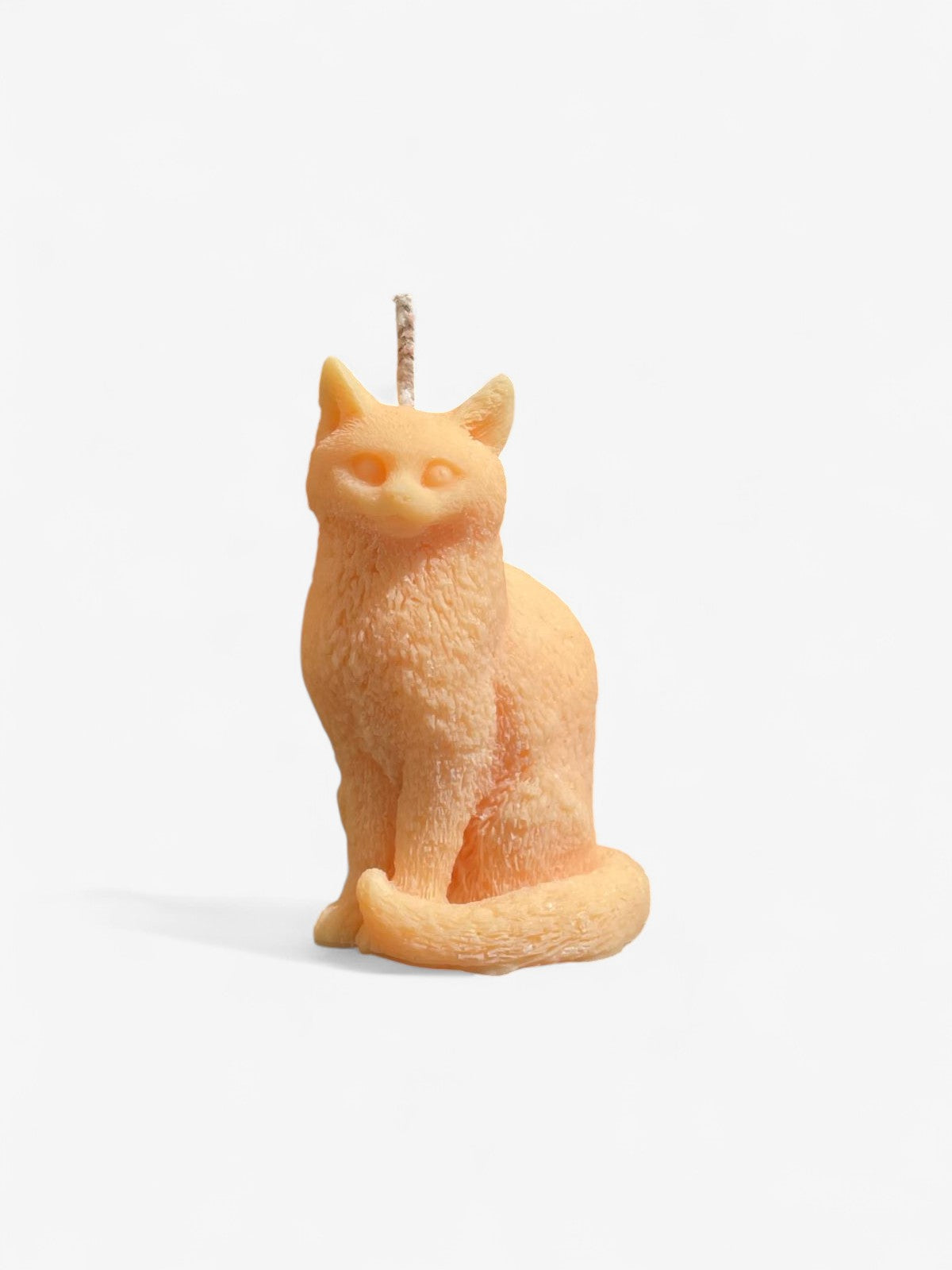 Bougie chat Comme tu veux.