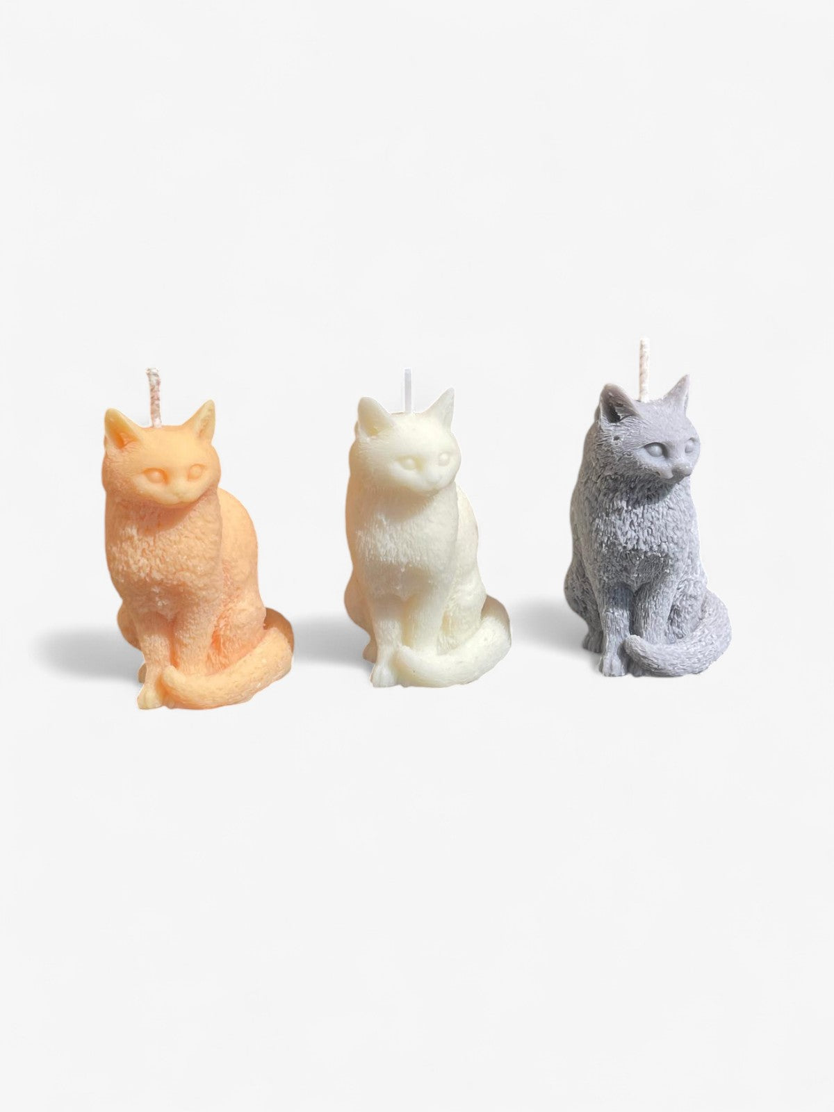 Bougie chat Comme tu veux.