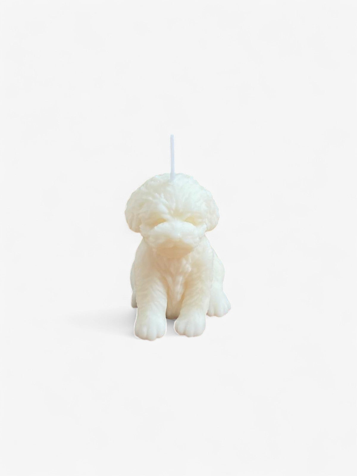 Bougie chiot Comme tu veux.