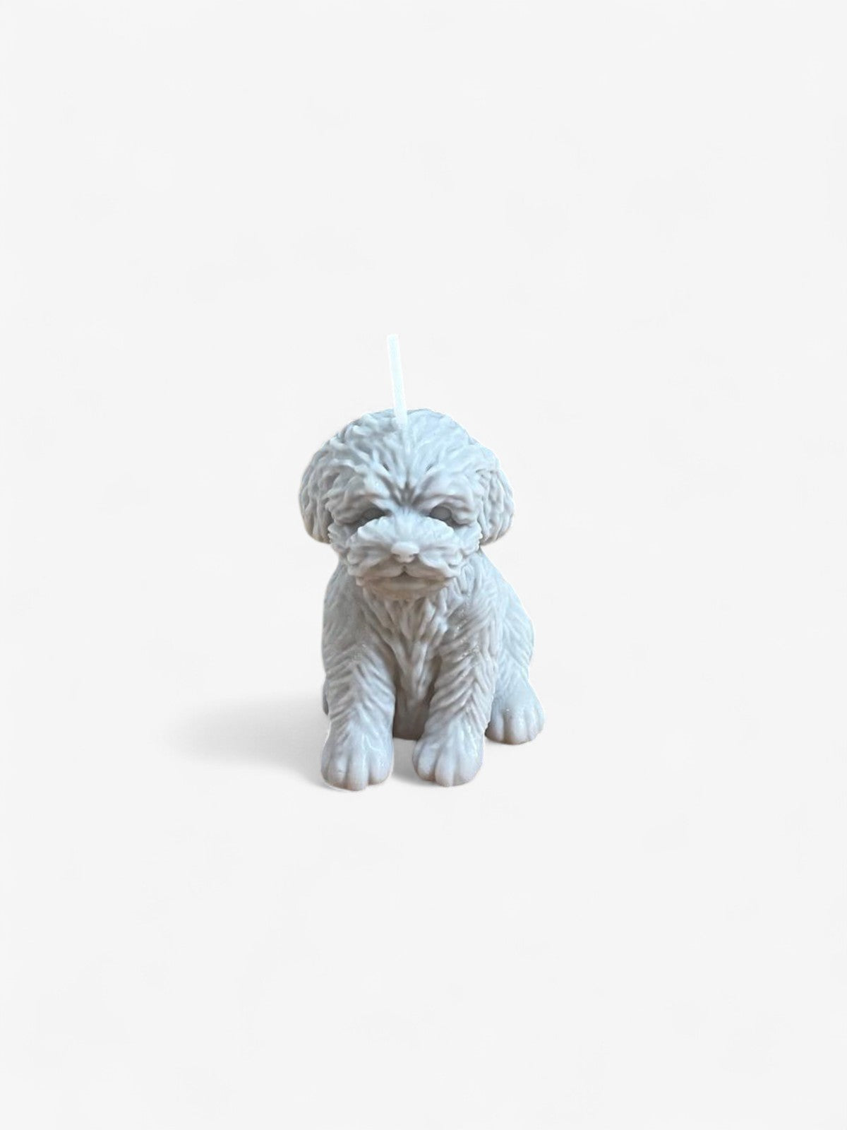 Bougie chiot Comme tu veux.
