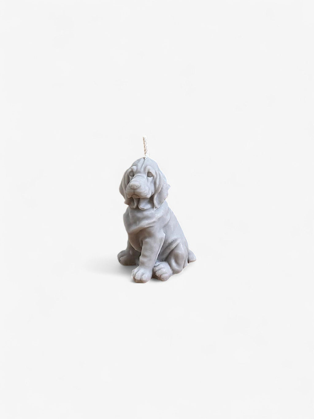 Bougie Chien Comme tu veux.