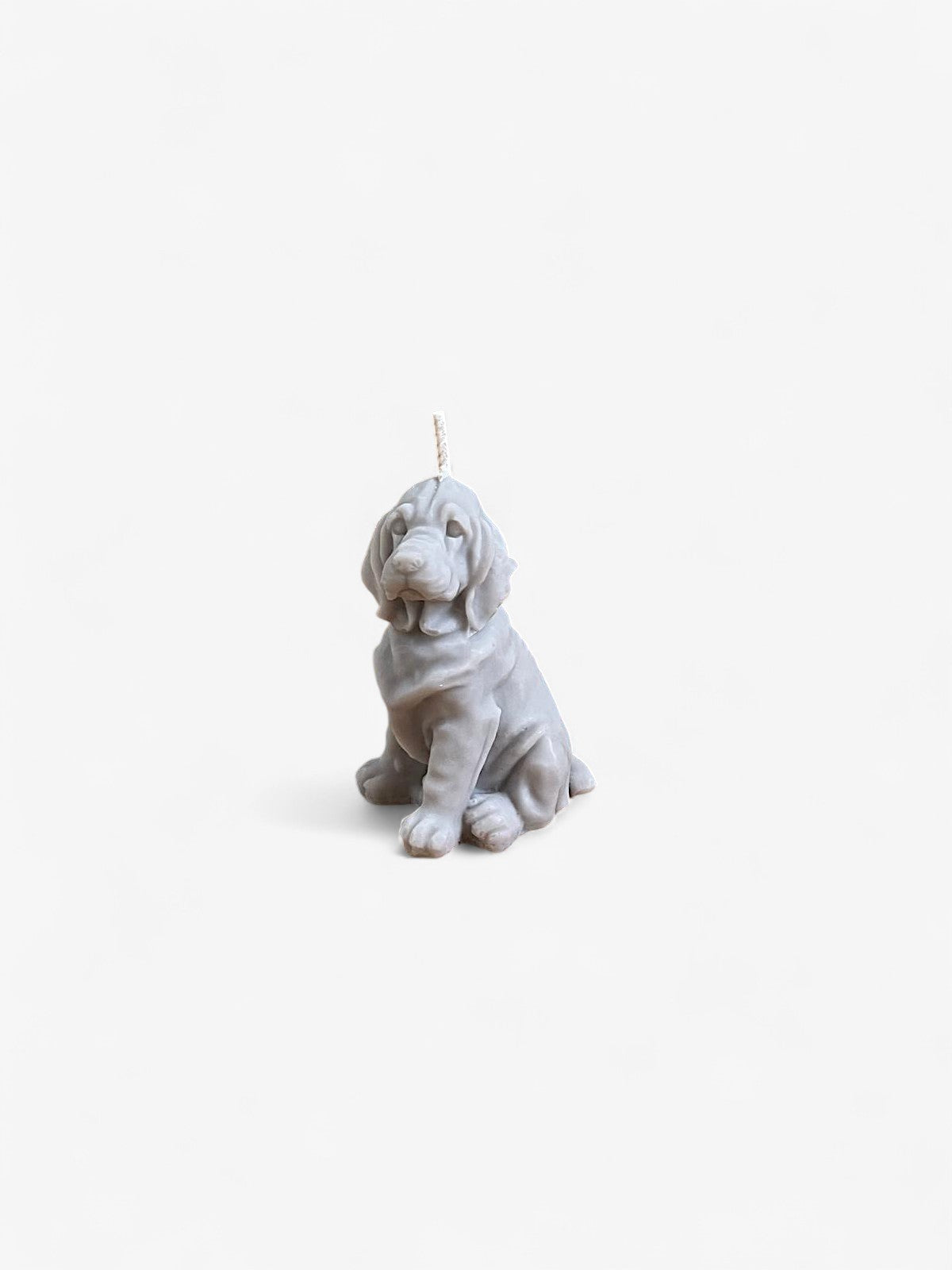 Bougie Chien Comme tu veux.