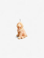 Bougie Chien Comme tu veux.