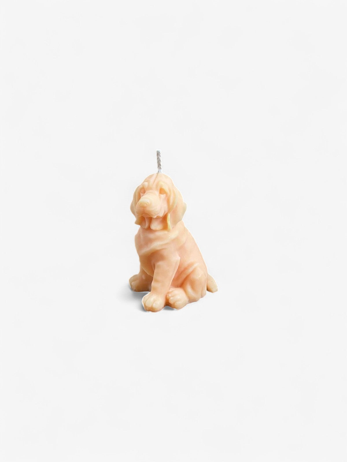 Bougie Chien Comme tu veux.